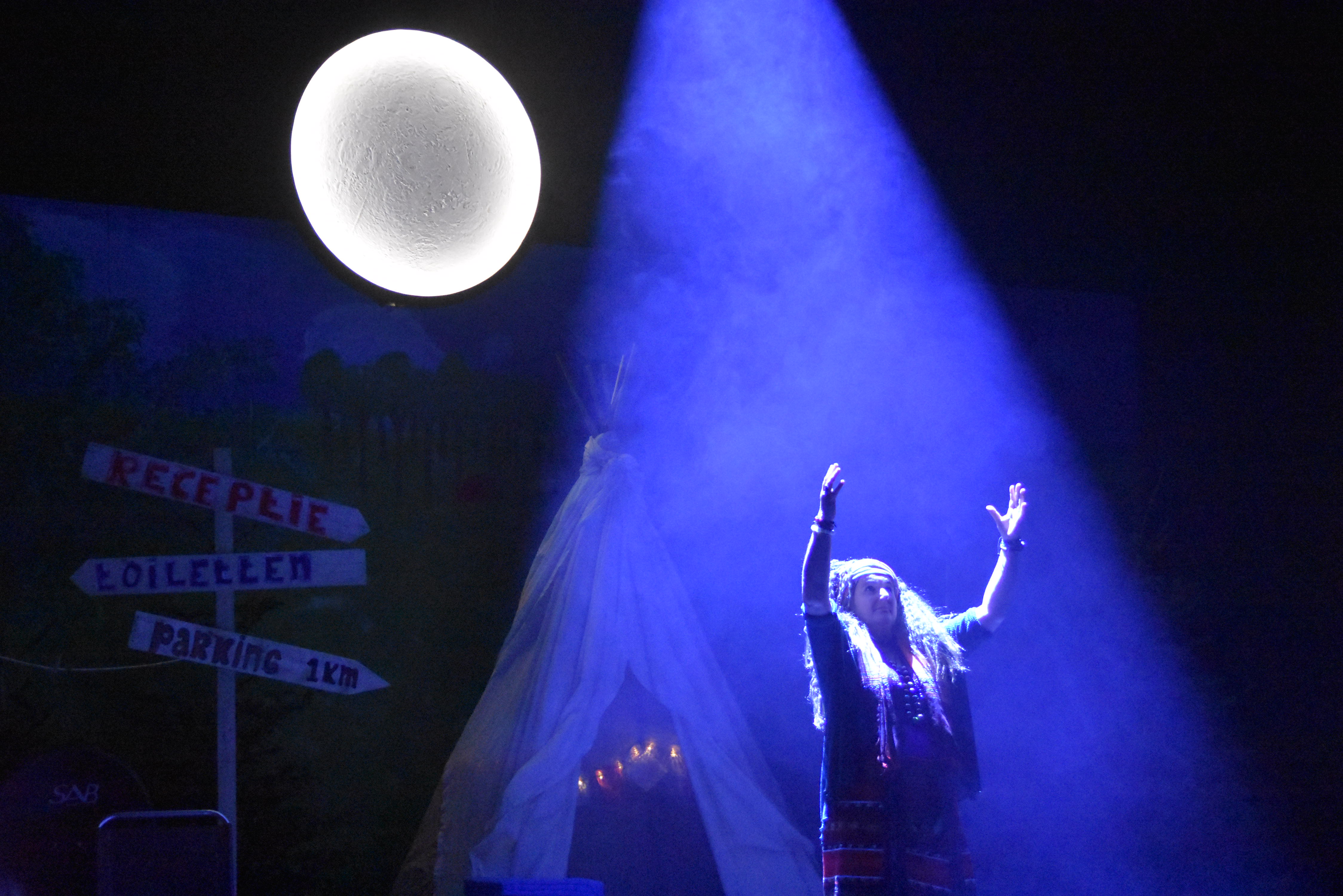 Vreemde vogels op de camping